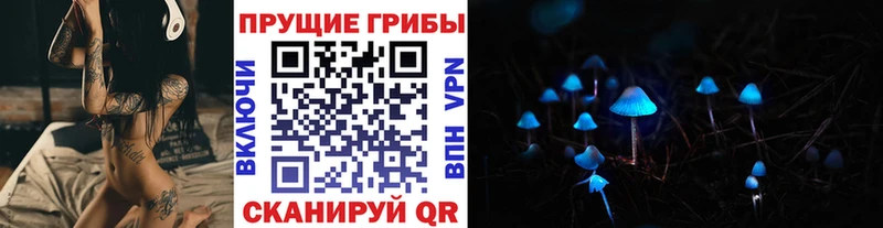 купить закладку  Дно  MEGA онион  Галлюциногенные грибы мухоморы 